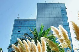 Санаторий Сочинский