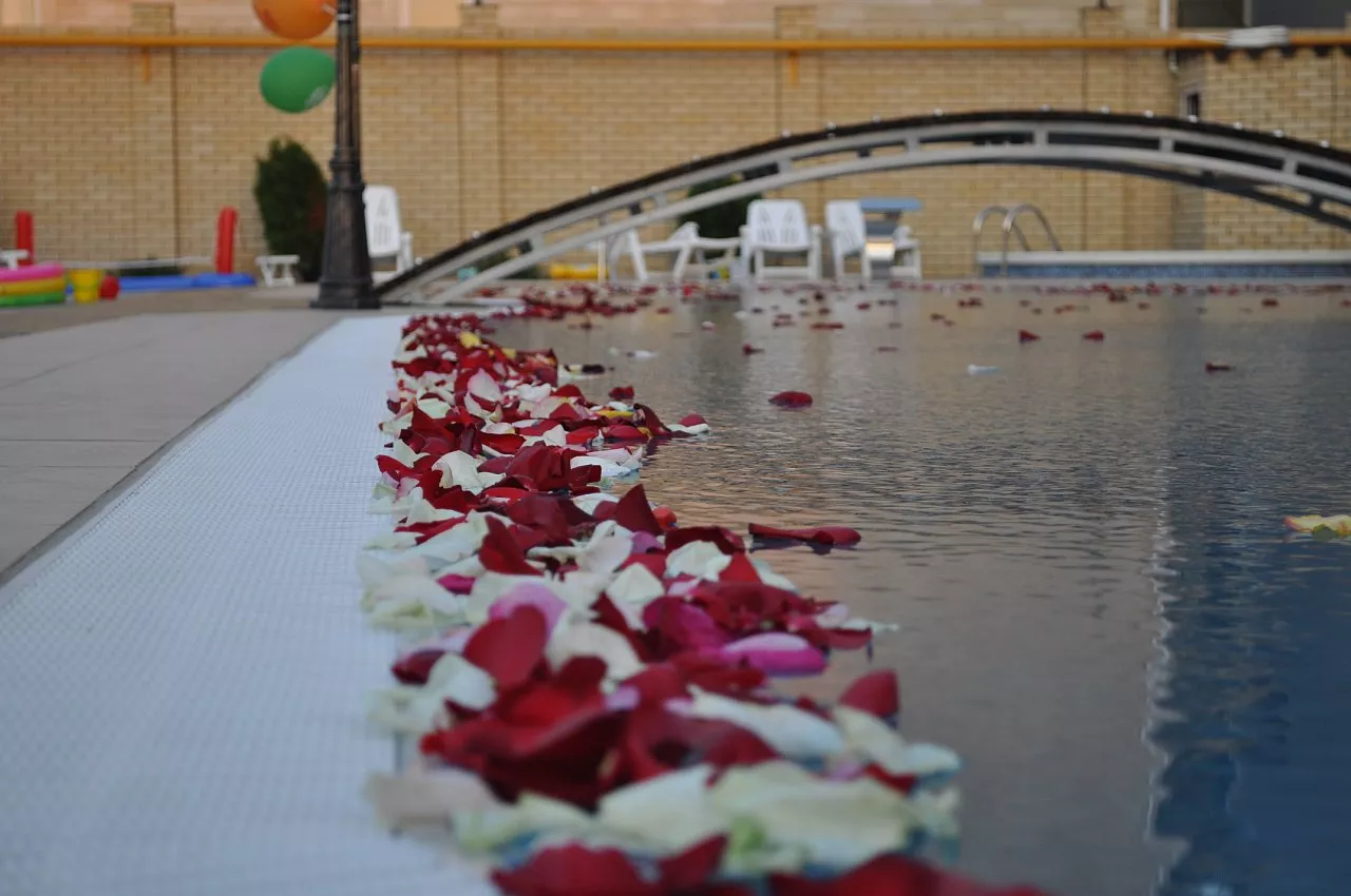 . Отель «ПОНТОС». Витязево