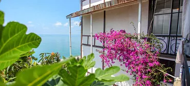 Отель Дача художников