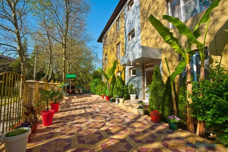 . Гостевой дом "Паллада" в Ольгинке      . Ольгинка