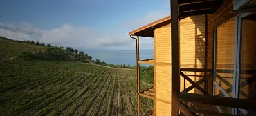 Вилла «Виола»