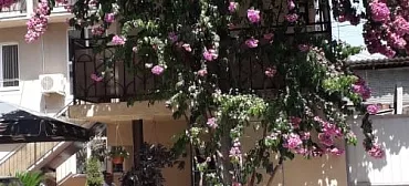 Гостевой дом Граир