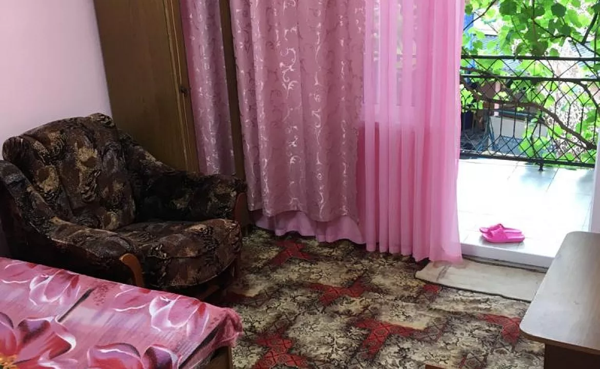 Эконом +. Гостевой дом "Рафаэль" в Пляхо. Пляхо