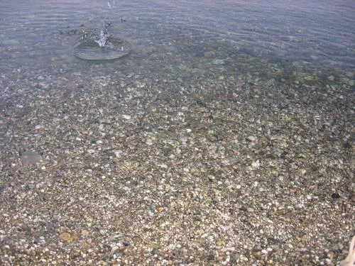 . Частный сектор Приморская 2 в Пицунде. Пицунда . Частный сектор Приморская 2 в Пицунде. Пицунда