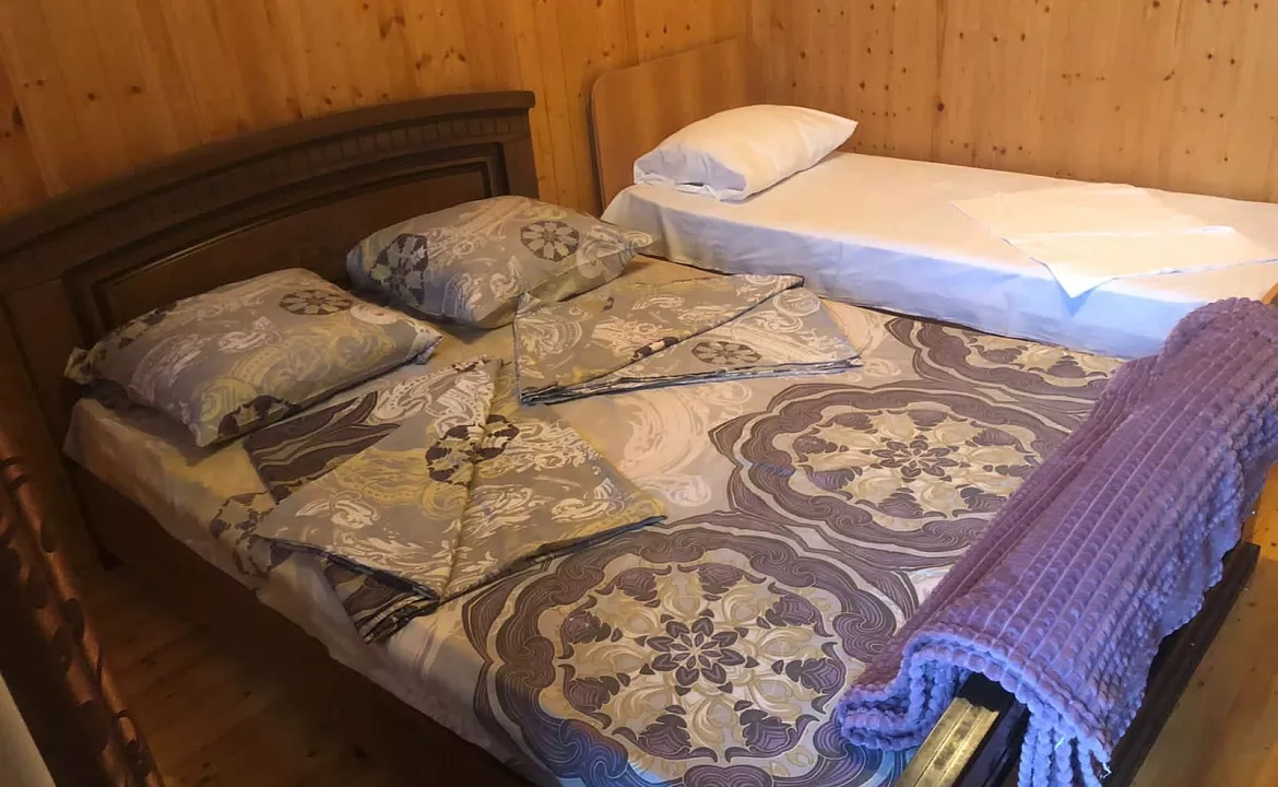 Стандарт 2хместный. "Delis" (Делис). Гагра