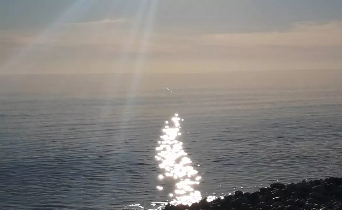 Лавровый лист . Частный сектор Лавровый лист. Новый Афон