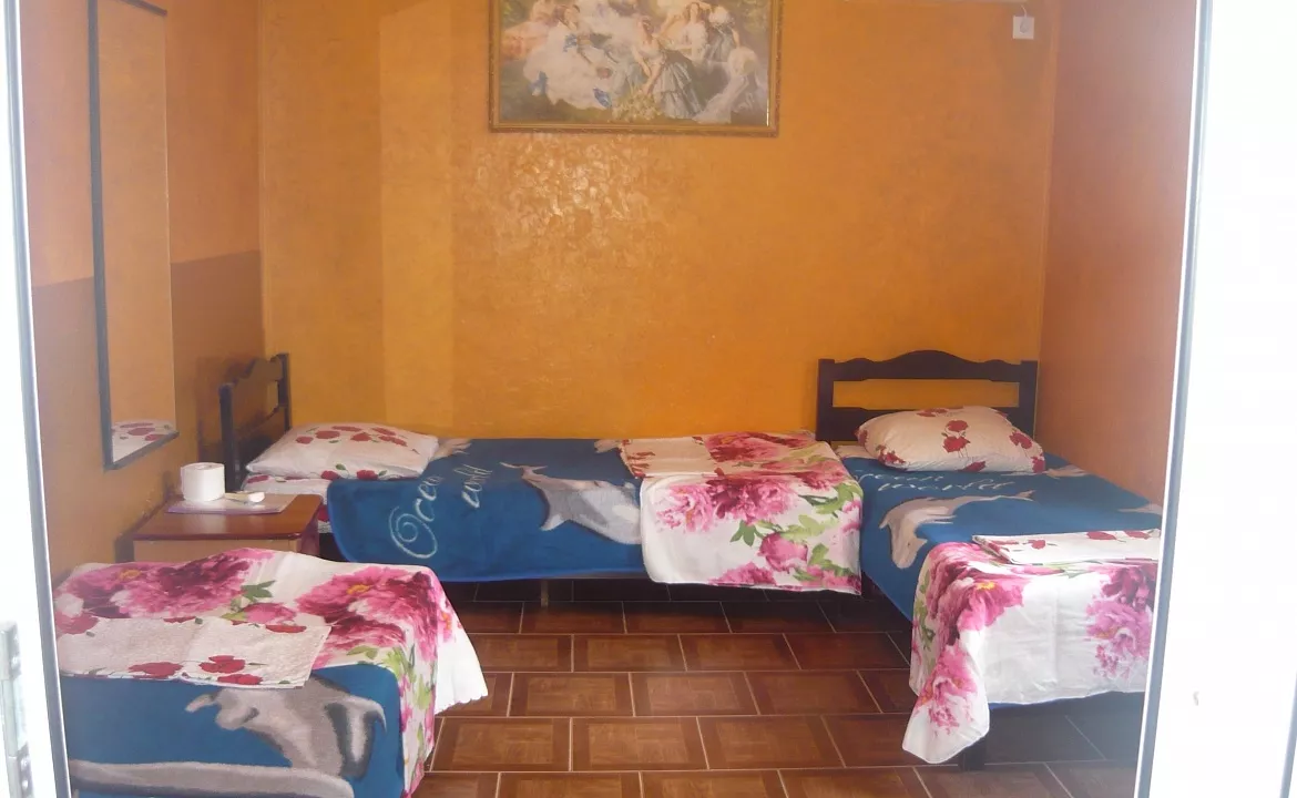 Бюджетный трехместный номер. Гостевой дом "Дикая Орхидея". Вардане