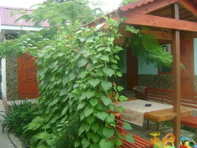 . Частный сектор Солнышко. Сенной