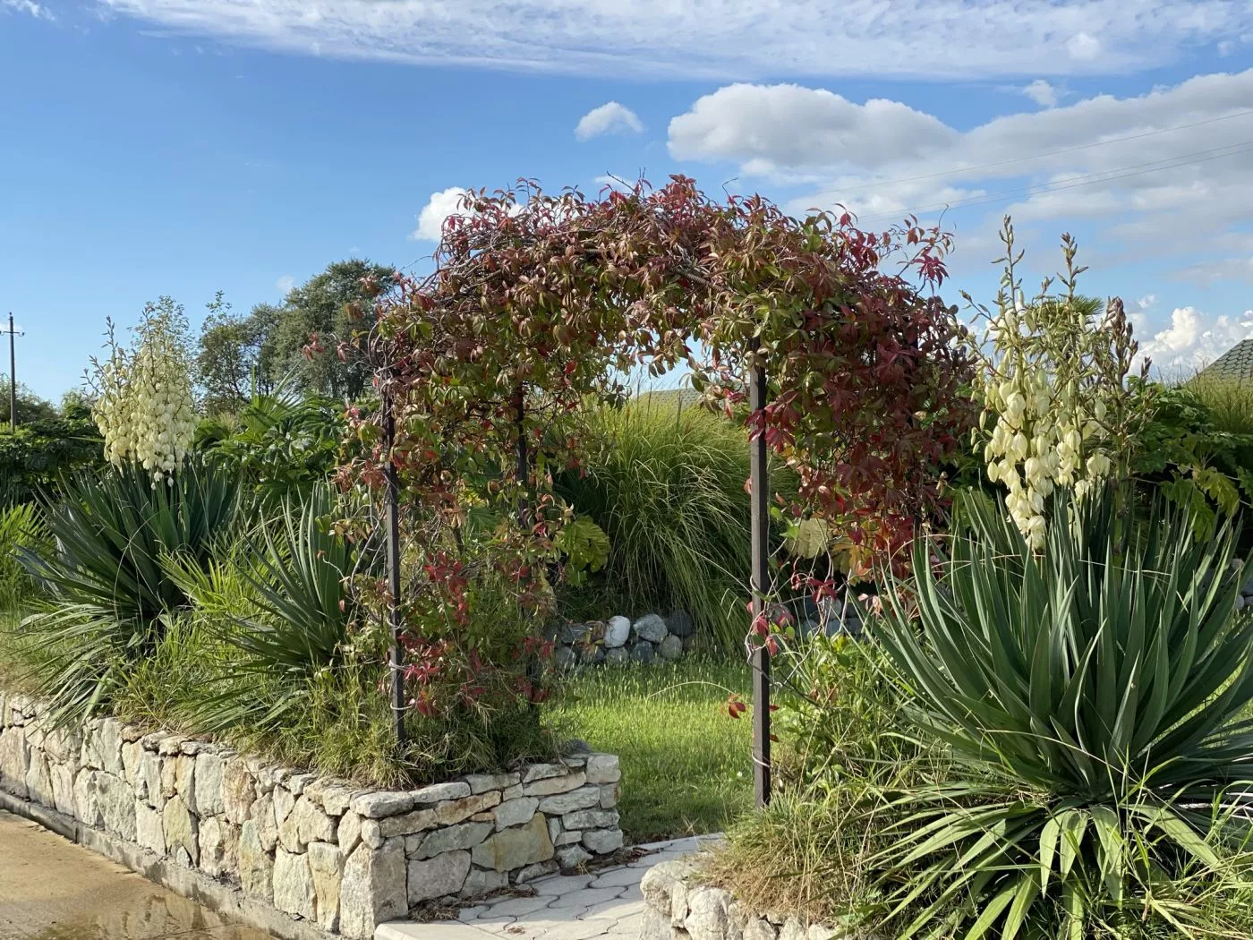 . База отдыха "Скурча". Сухум