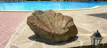 База отдыха "Архипо-Осиповка"