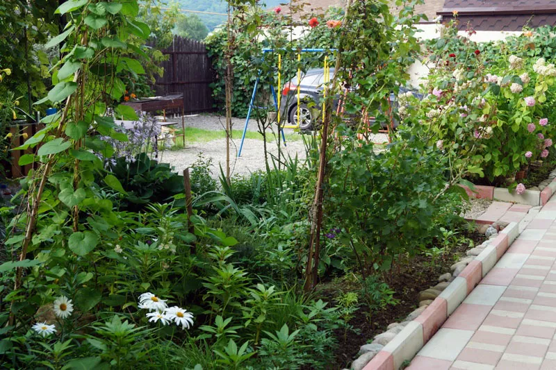 . Гостевой дом "Натали" - Лазаревское. Лазаревское