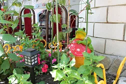 Гостевой дом "Солнечная дача" Гостевой дом "Солнечная дача"