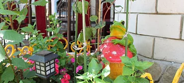 Гостевой дом "Солнечная дача"