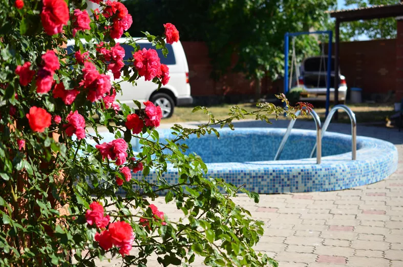 . Пансионат «Ялтас». Штормовое