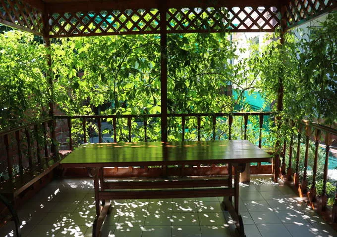 . Гостевой дом "Сибирячка". Ольгинка