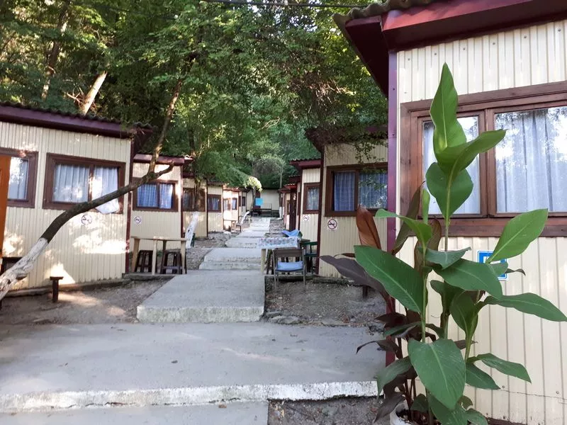 . Кемпинг «Море сосен». Джанхот