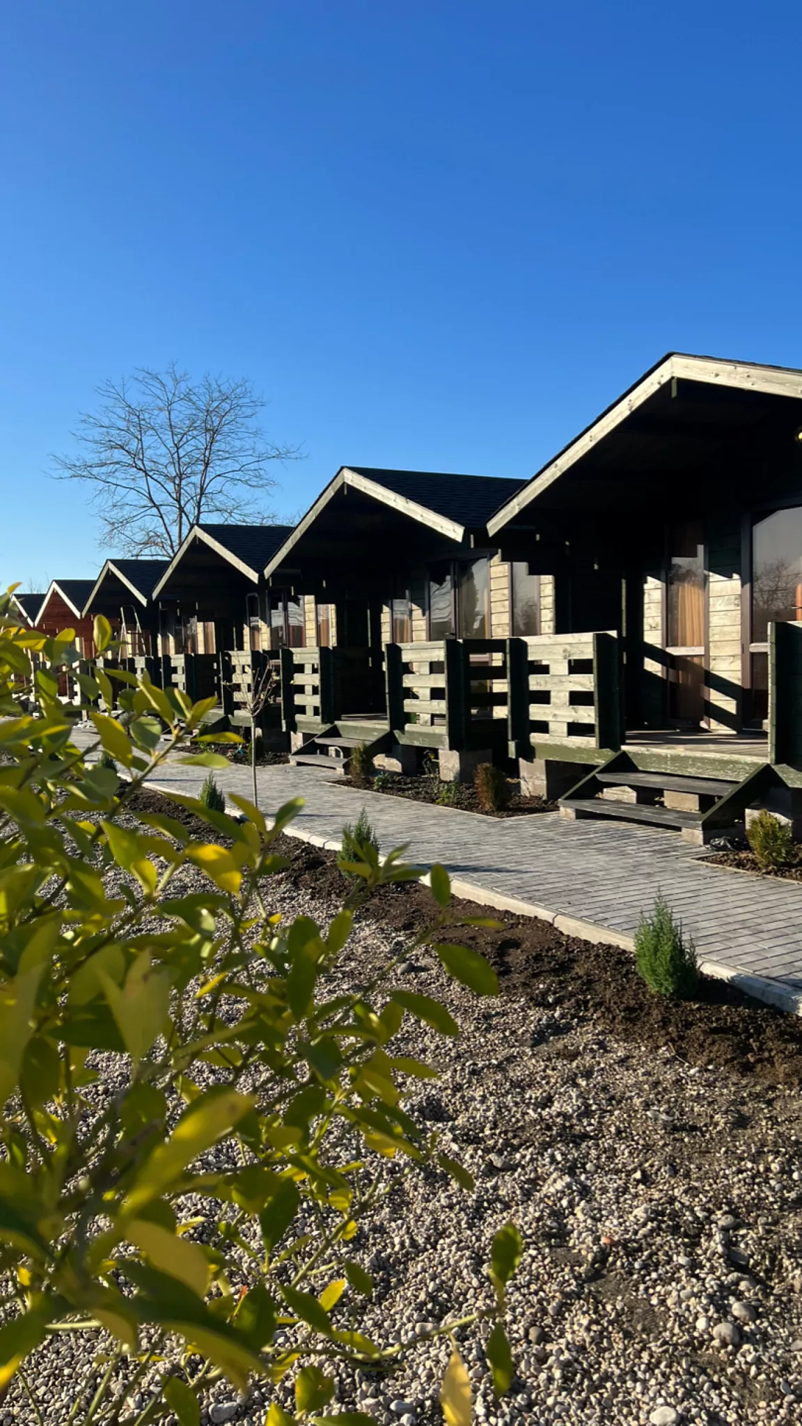 . Гостевой дом Апра. Пицунда . Гостевой дом Апра. Пицунда