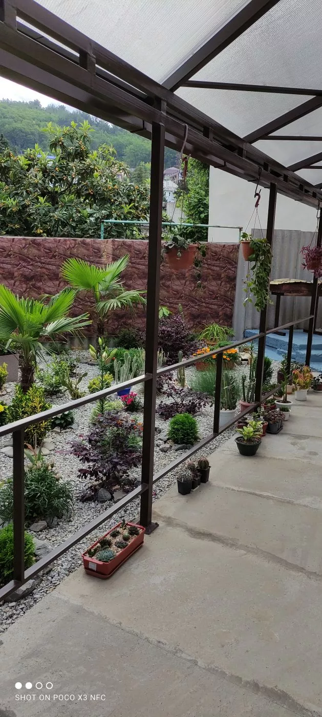 . Гостевой дом Кактус. Лазаревское