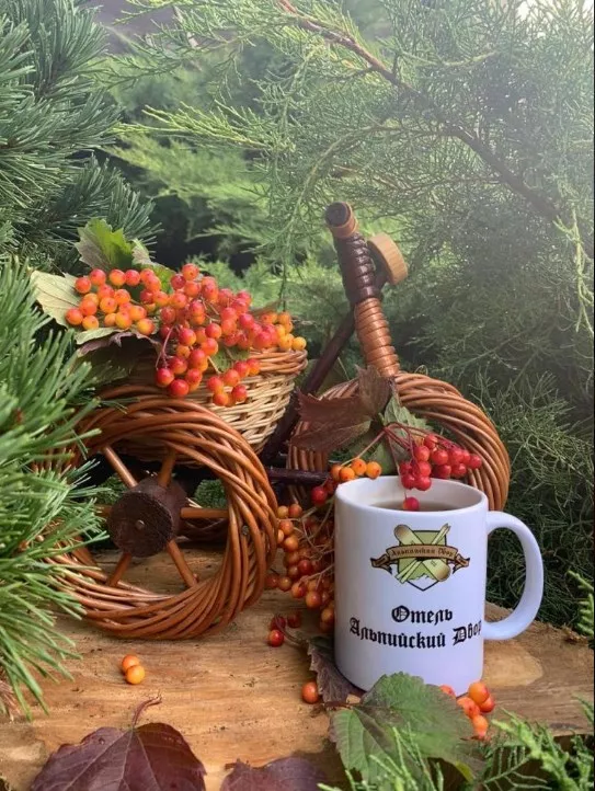 . Отель Отель Альпийский двор. Красная Поляна