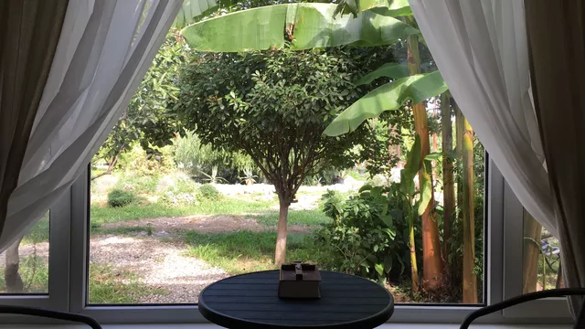 . Гостиница «Святая Абхазия». Пицунда