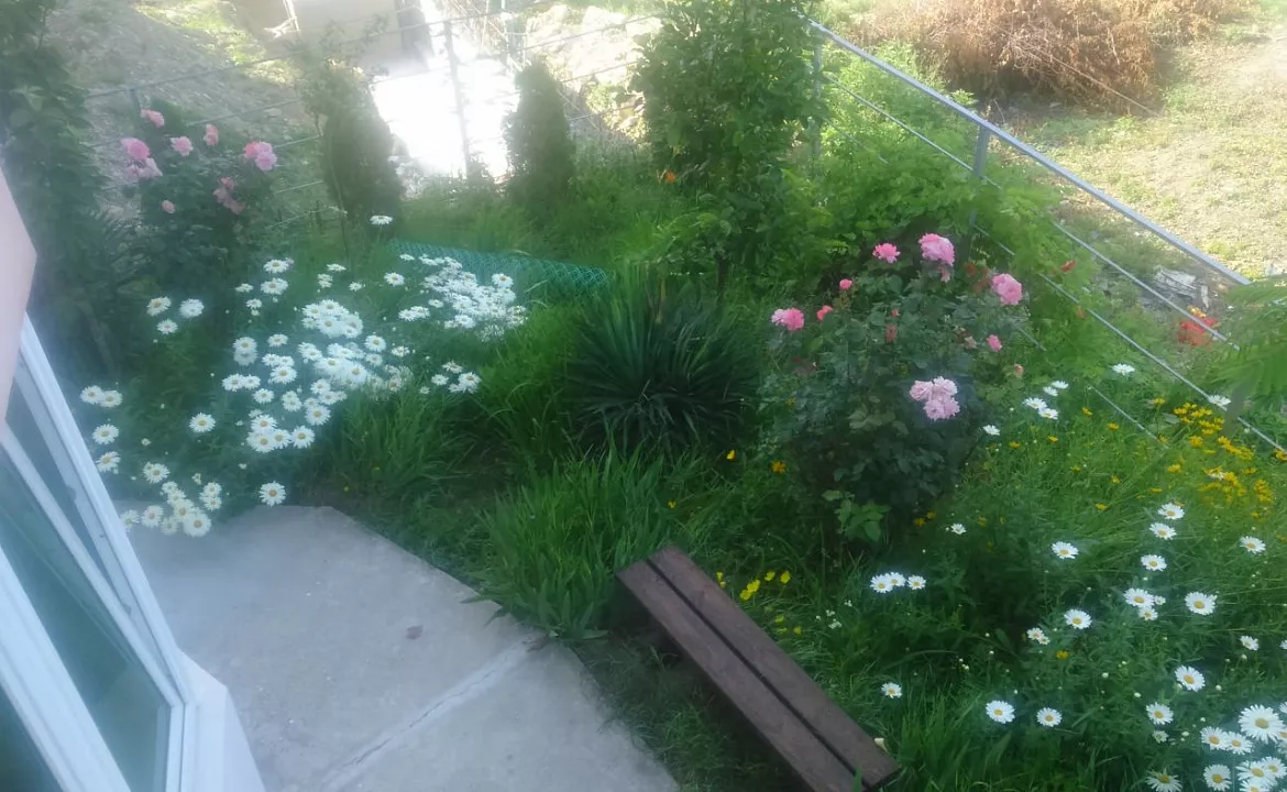 Полулюкс. Гостевой дом Дельфин - Новомихайловский. Новомихайловский Полулюкс. Гостевой дом Дельфин - Новомихайловский. Новомихайловский