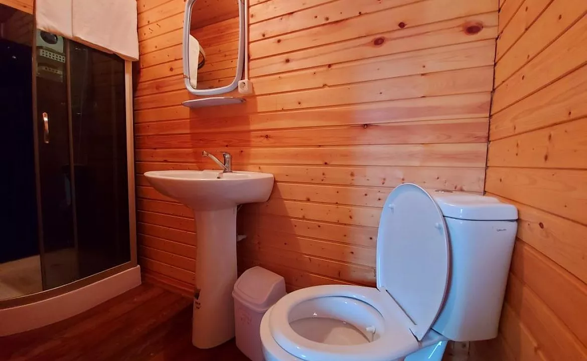 Двухместный стандарт . Гостевой дом гостевой дом Новая Гагра. Гагра