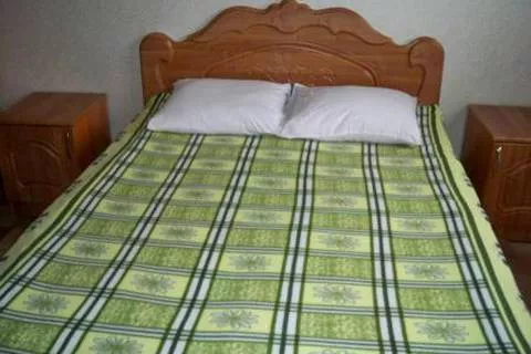 Двухместный. Гостевой дом Бриз. Головинка