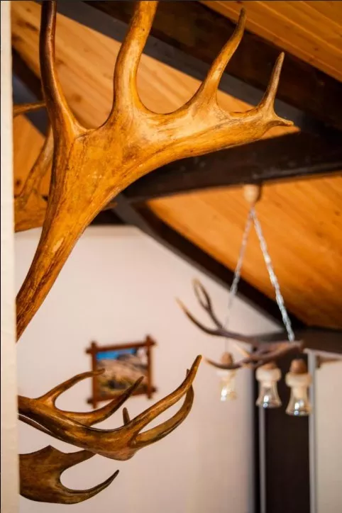 . Отель Отель Альпийский двор. Красная Поляна