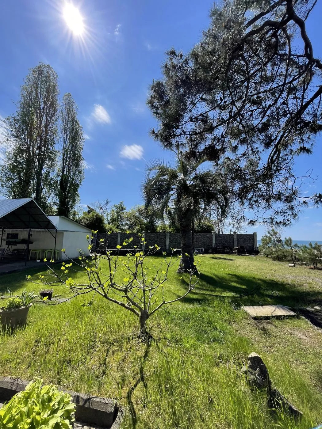 . Коттедж Морской Бриз. Сухум