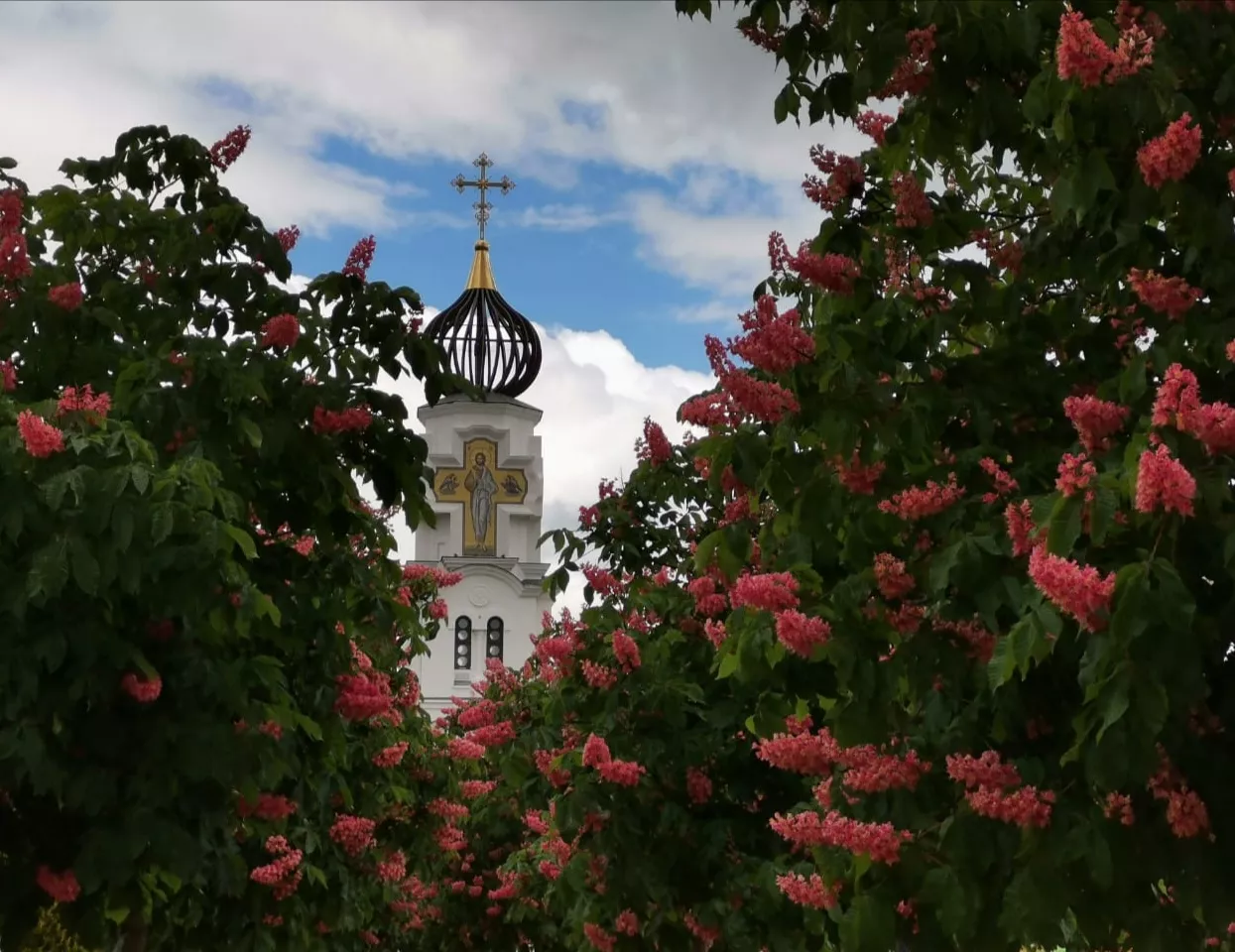 . Квартира в многоквартирном доме Чистая и Уютная. Курорты Новороссийска