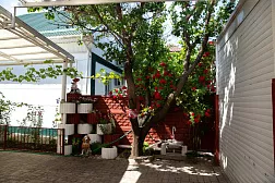 Гостевой дом " У Виктора" Гостевой дом " У Виктора"