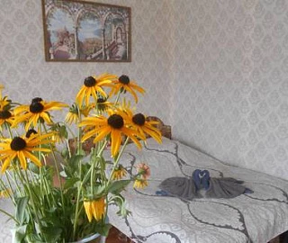 Эконом, Полулюкс, Люкс, Коттедж. Частный сектор Марина. Эконом, Полулюкс, Люкс, Коттедж. Частный сектор Марина.