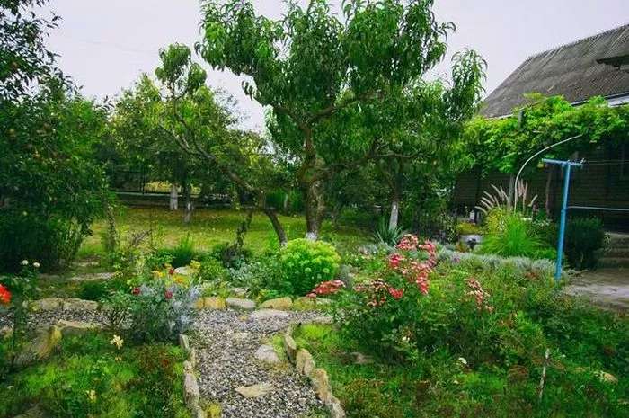 . Частный сектор "Цветущий сад". Сукко