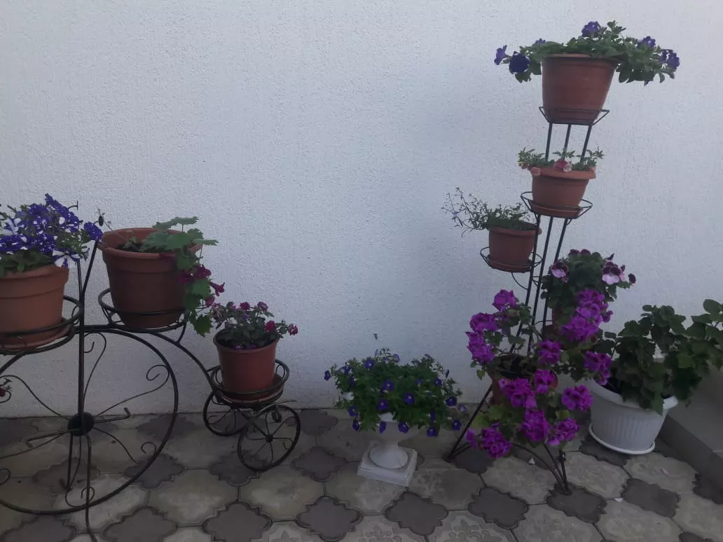 . Гостевой дом "Белый Замок". Лазаревское . Гостевой дом "Белый Замок". Лазаревское