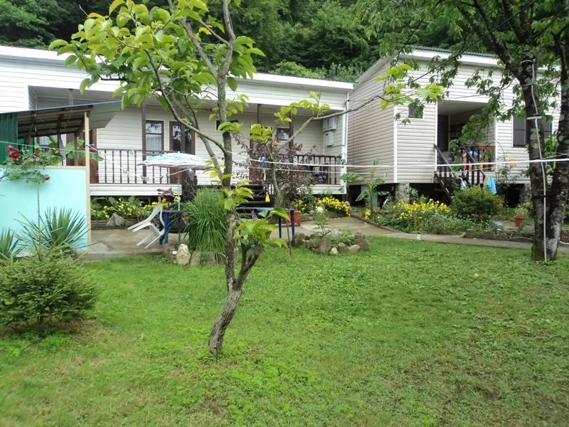 . Гостевой дом "Райский сад". Шепси . Гостевой дом "Райский сад". Шепси