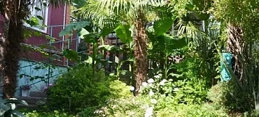 Гостиница "У Александра"