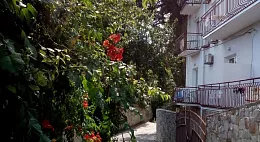 Гостевой дом «Кедр-Восток» Гостевой дом «Кедр-Восток»