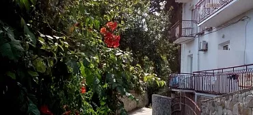 Гостевой дом «Кедр-Восток»