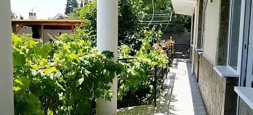 Гостиница Три дельфина