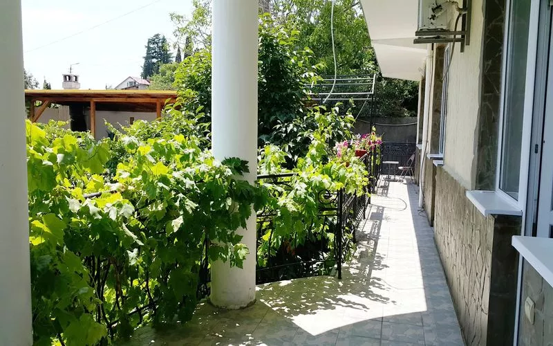 . Гостиница Три дельфина. Ялта