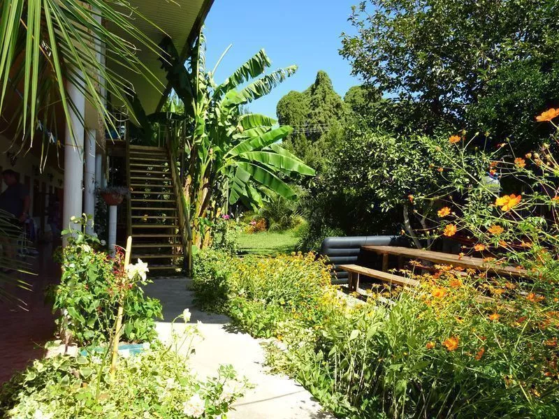 . Частный сектор "Мандаринка". Пицунда