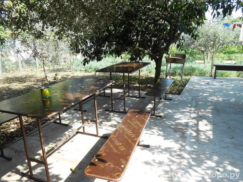 . Частный сектор «У Ануш». Пицунда