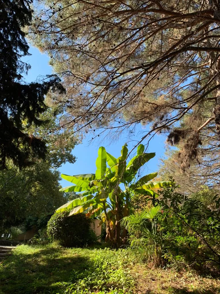 . Гостевой дом "У Ольги" - Лазаревское. Лазаревское