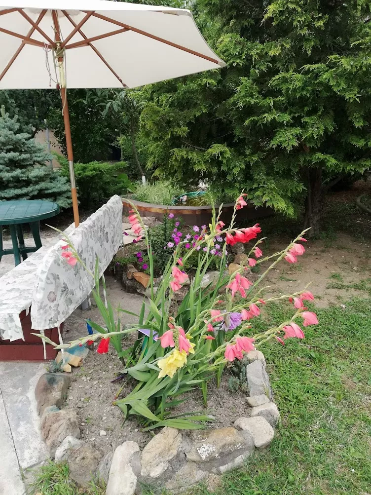 . Гостевой дом "Сибирячка". Ольгинка