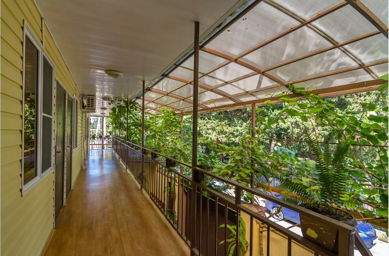 . Гостевой дом Александра. Адлер . Гостевой дом Александра. Адлер