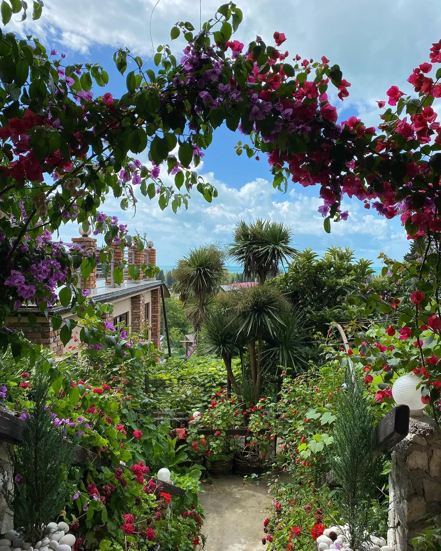 . Гостевой дом Эль Платано. Новый Афон