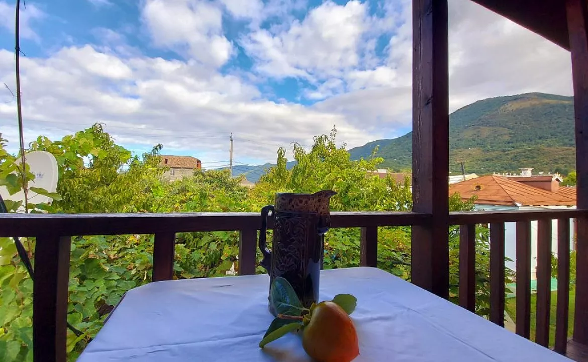 Двухместный стандарт . Гостевой дом гостевой дом Новая Гагра. Гагра