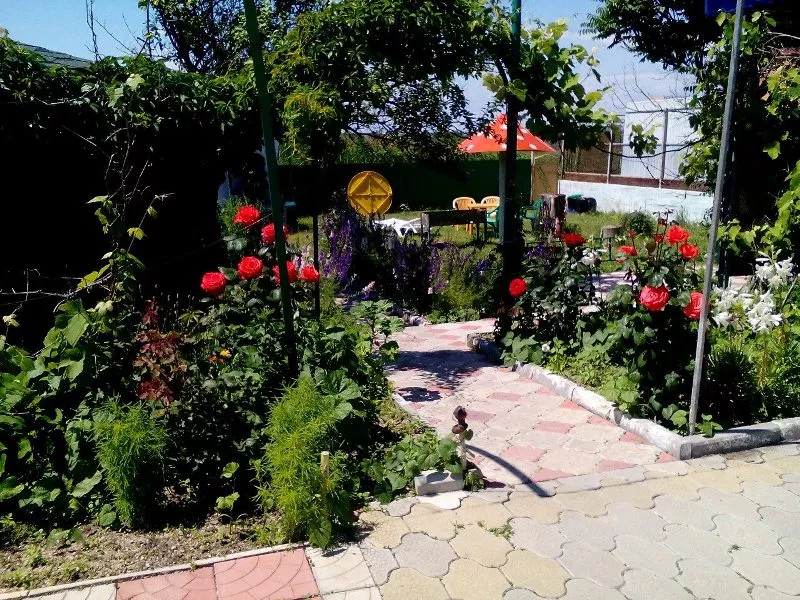 . Гостевой дом "У Ольги" - Должанская. Должанская . Гостевой дом "У Ольги" - Должанская. Должанская