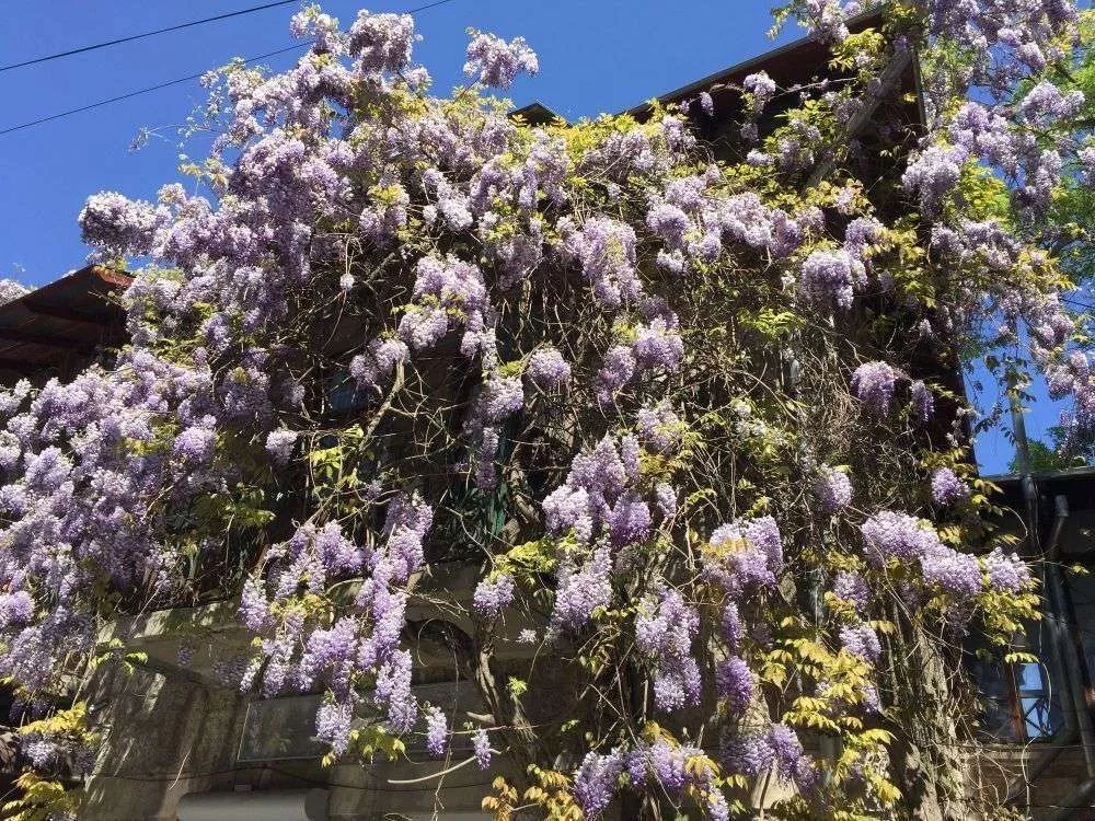 . Частный сектор 2х комнатная квартира на набережной. Ялта