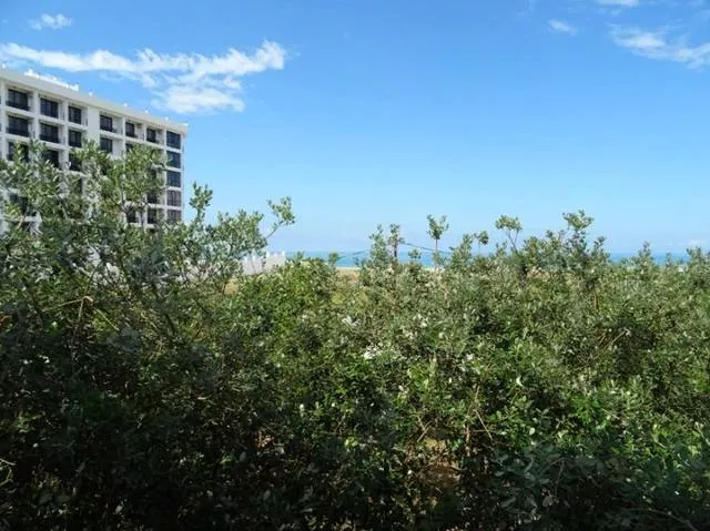 . «Роберт и Оксана». Пицунда